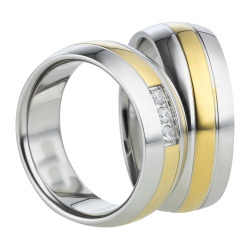 Vielsesringe Titanium 880