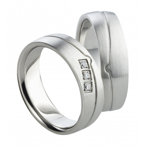 Vielsesringe Titanium 1584