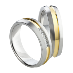 Vielsesringe Titanium 1588