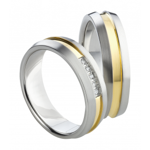 Vielsesringe Titanium 1588