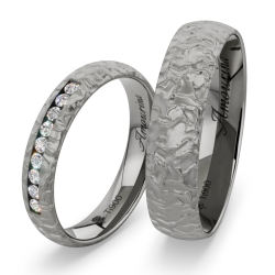 Vielsesringe Titanium Amourina 6008
