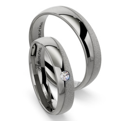 Vielsesringe Titanium Amourina 6011