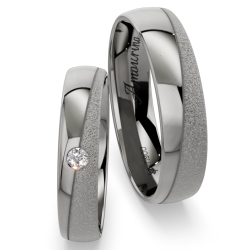 Vielsesringe Titanium Amourina 6011