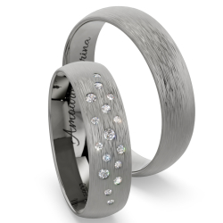 Vielsesringe Titanium Amourina 6012