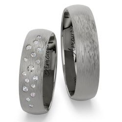 Vielsesringe Titanium Amourina 6012