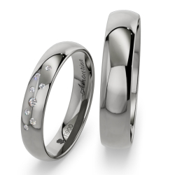 Vielsesringe Titanium Amourina 6013