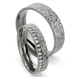 Vielsesringe Titanium Amourina 6015