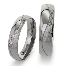 Vielsesringe Titanium Amourina 6021