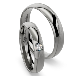 Vielsesringe Titanium Amourina 6022