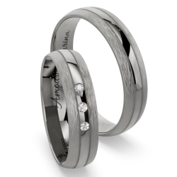 Vielsesringe Titanium Amourina 6024