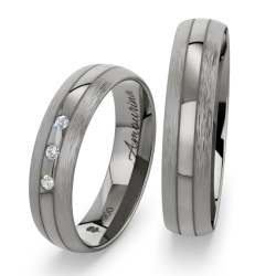 Vielsesringe Titanium Amourina 6024