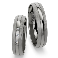 Vielsesringe Titanium Amourina 6024