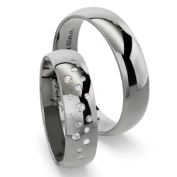 Vielsesringe Titanium Amourina 6028