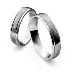 Vielsesringe Rustfri Stl og titanium 10010