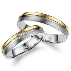 Vielsesringe Titanium TI13