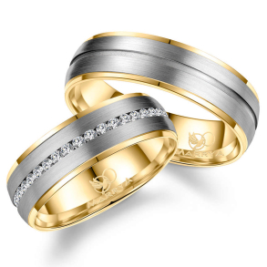 Vielsesringe Titanium TI23