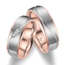 Vielsesringe Titanium TI24