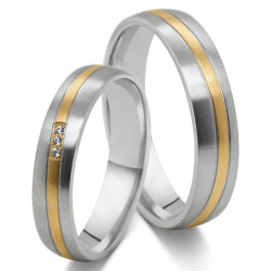 Vielsesringe Rustfri Stl 4790